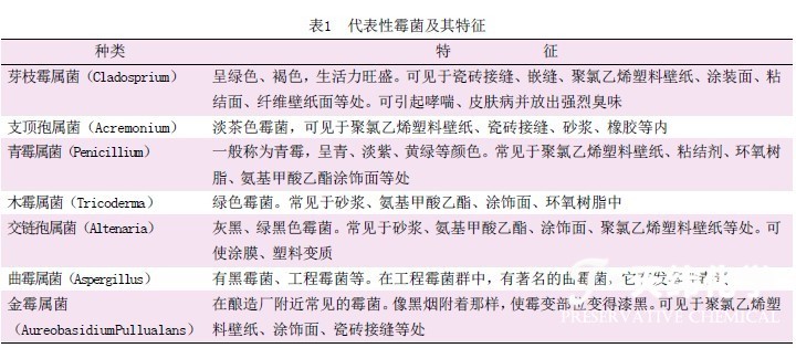 1563225484293213.jpg 30719948_1.jpg